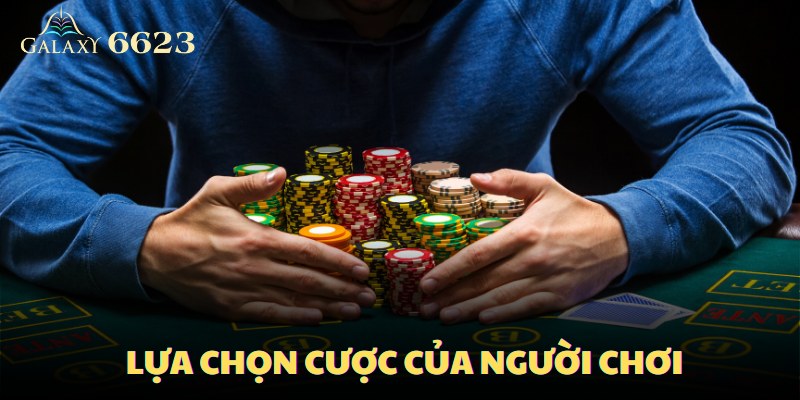 Người chơi sẽ có 4 lựa chọn cược